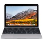 Model Number: Macbook 12-inch, 1.3GHz dual-core Intel Core i5, 512GB


	12-inch (diagonal) LED-backlit display with IPS technology
	1.3GHz dual-core Intel Core i5 with Turbo Boost up to 3.2GHz and...